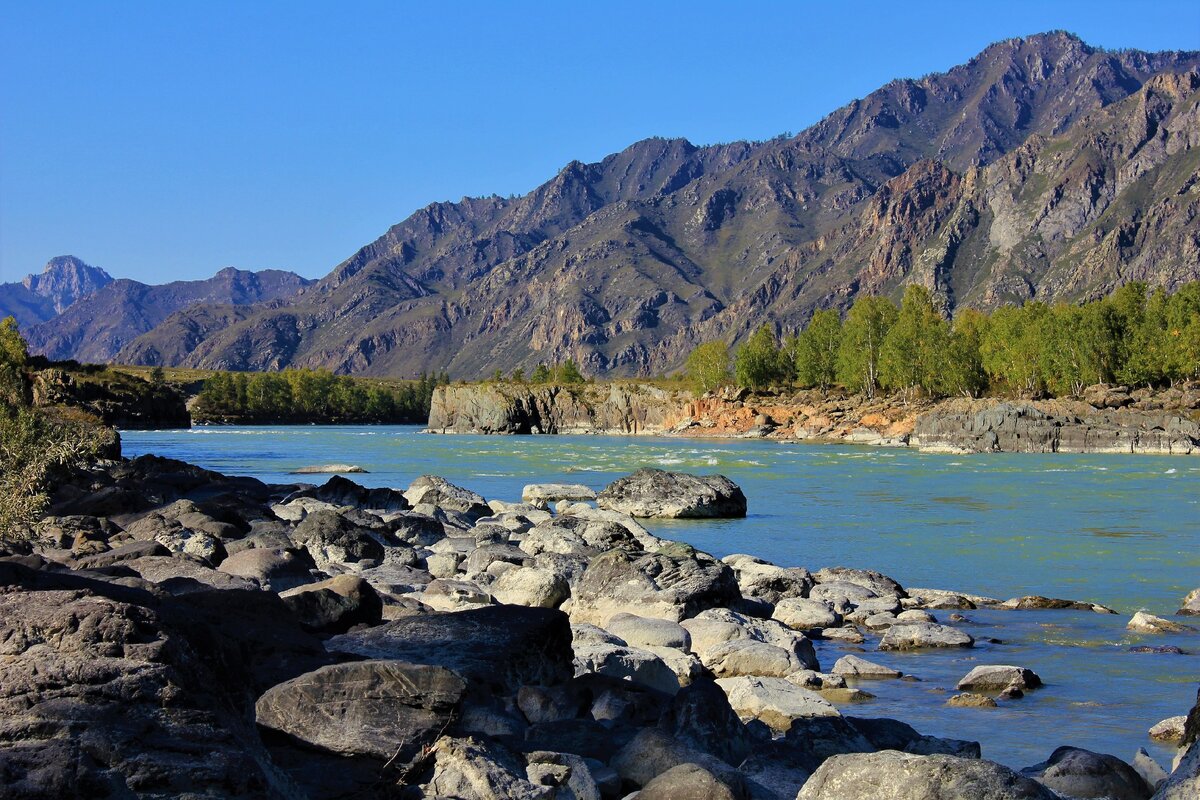 ороктой горный алтай