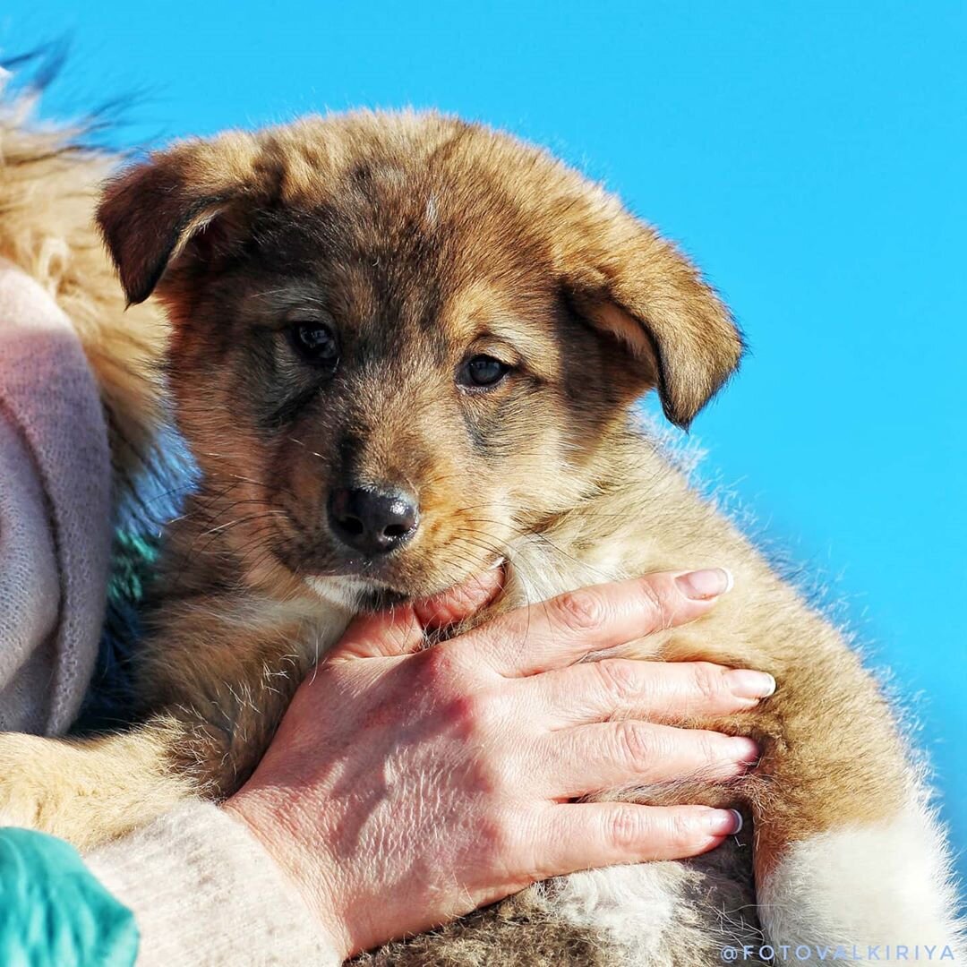 Источник: инстаграм @puponi