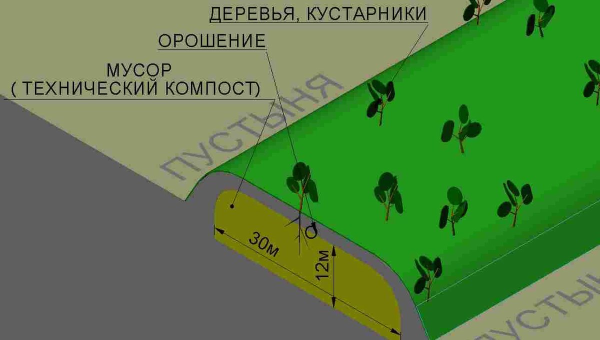 Разрез лесобурта