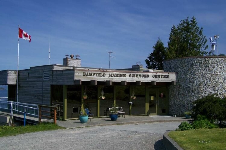 Дайвинг Экспедиция