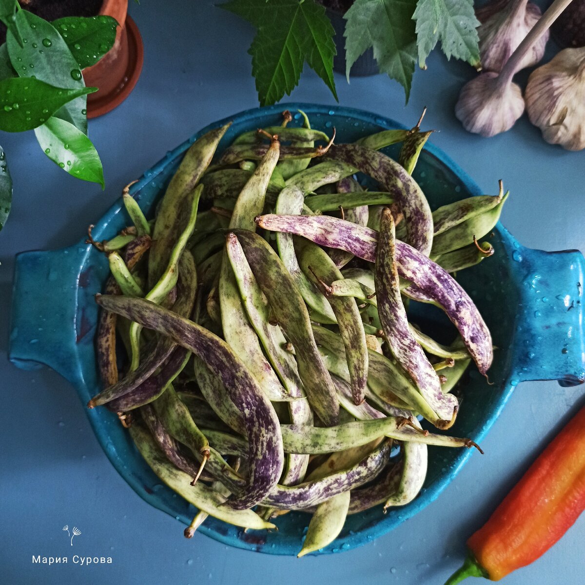 Как быстро и вкусно приготовить свежую или замороженную стручковую фасоль.