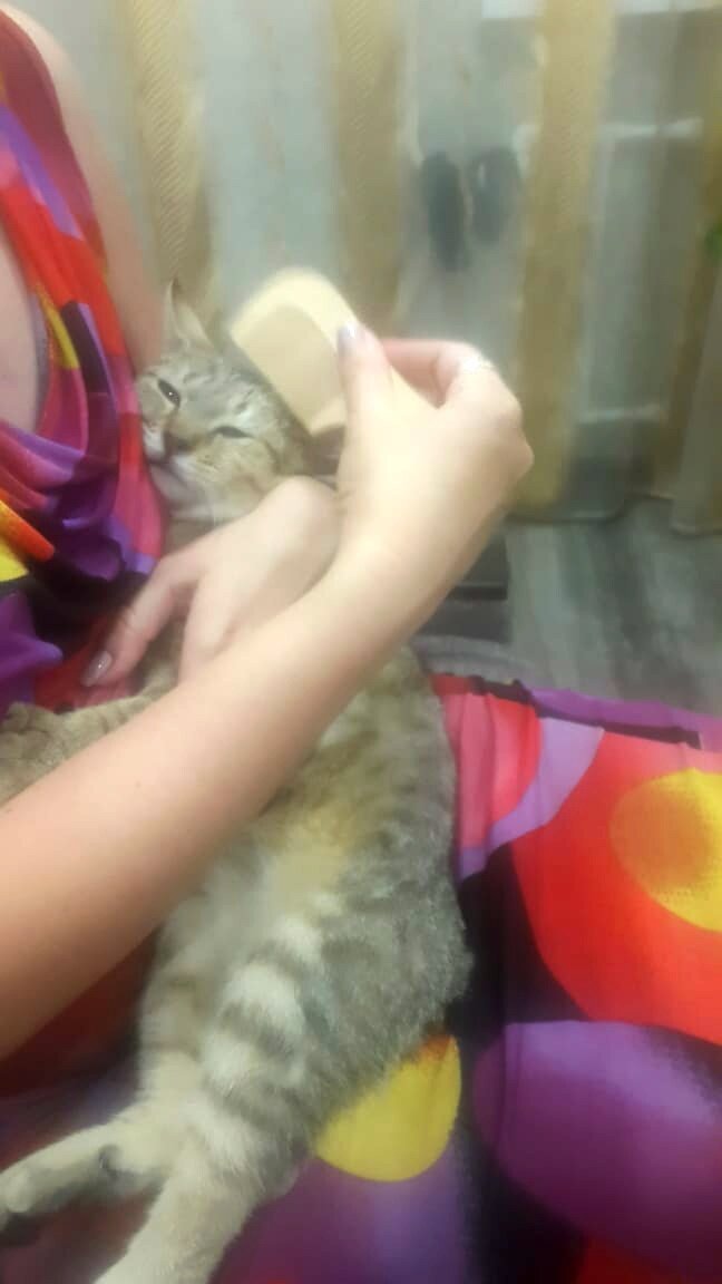 Самая приятная процедура