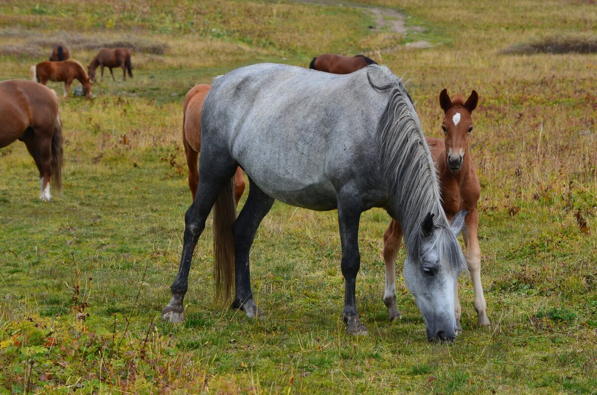 Любовь. Фото автора