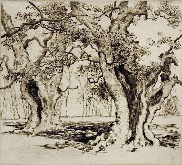 Может быть, такие?