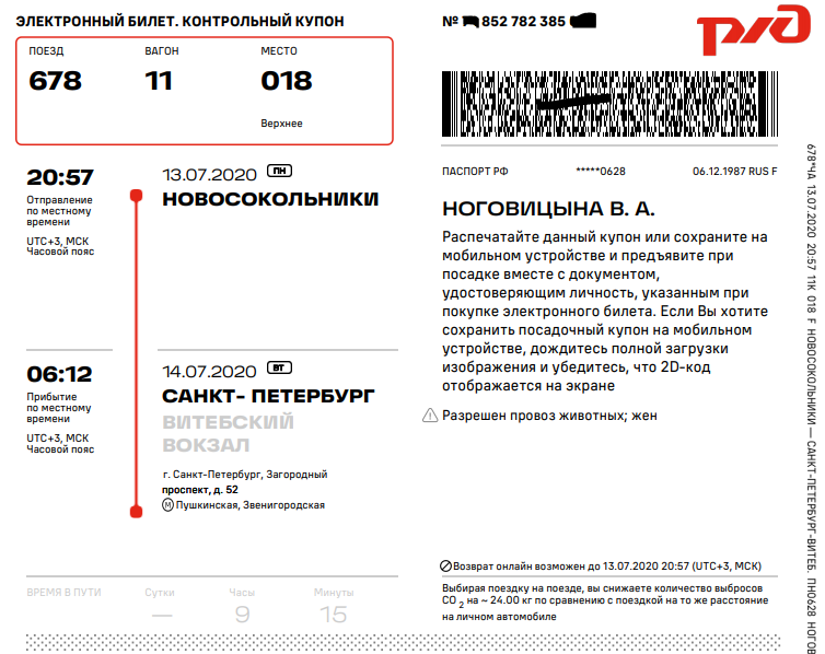 Электронный билет РЖД 2021. Электронный билет на поезд РЖД 2020. Как выглядит электронный билет. Электронный билет на поезд образец.