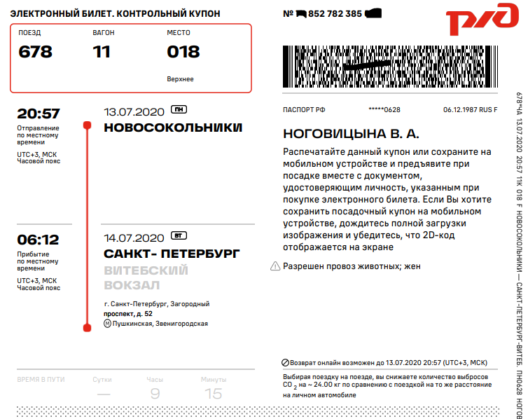 Электронный билет РЖД 2021. Электронный билет на поезд РЖД 2020. Электронный билет РЖД образец. Электронный билет на поезд образец.