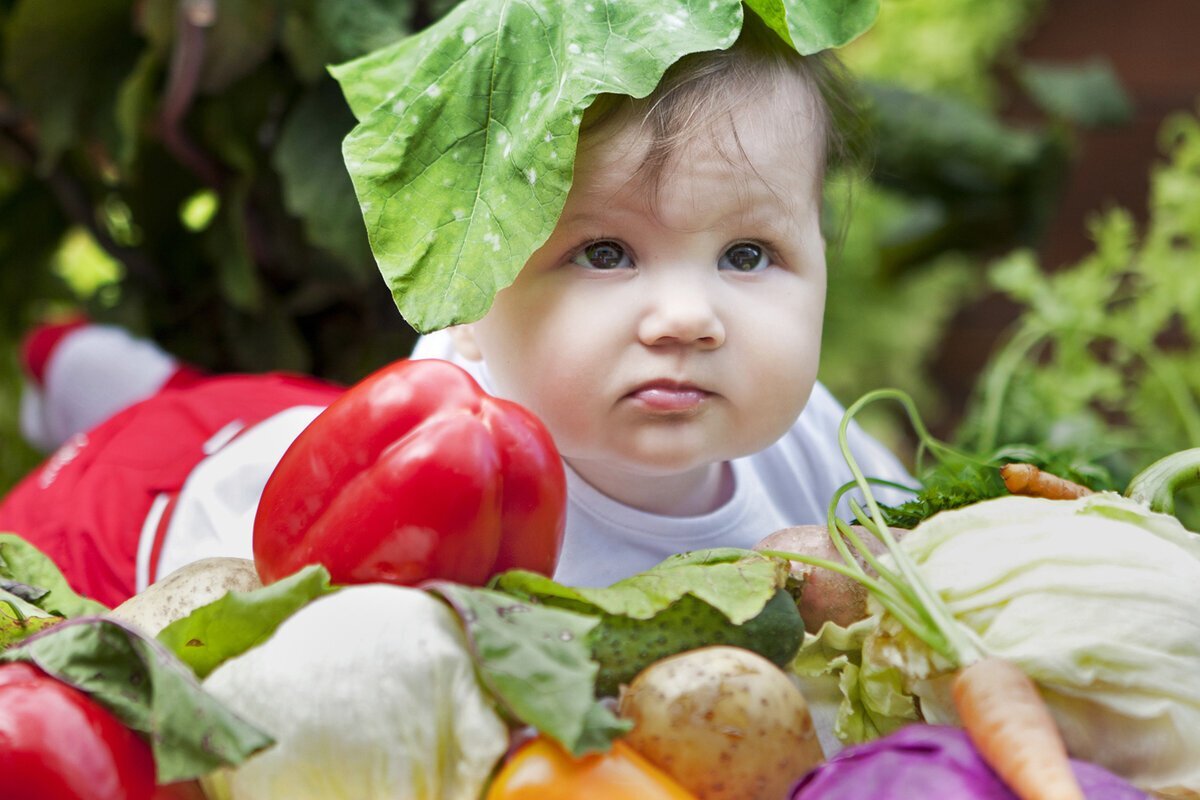 Ребенок 8 мес., плохо ест овощи. Что делать? Бросать его кормить ими? Может утром давать?