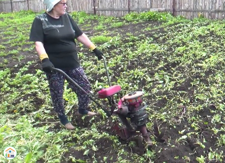 Огород засеянный горчицей запахивается.