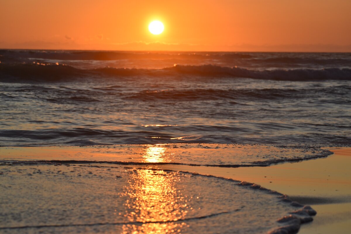 Фото взято из фотостока