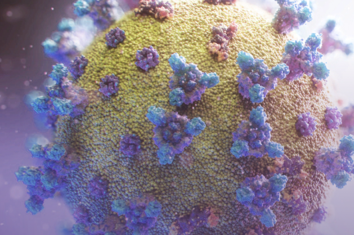 Коронавирус под микроскопом, изображение с сайта Минздрава РФ