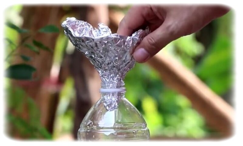 Фото из открытого источника