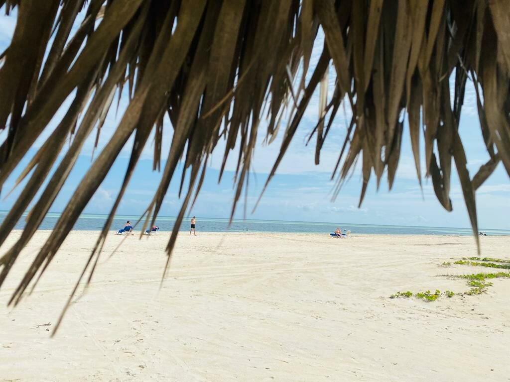 Пляж отеля Iberostar Daiquiri. Убирают каждый день в районе 16-17 часов. Отель средняя 4*. Что не понравилось в сравнении с другими отелями: Питание и сам ресторан, очень долгое обслуживание и очереди, неухоженная территория, анимации практически нет, водоросли на пляже и в воде