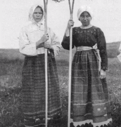 Фото из открытых источников. Яндекс