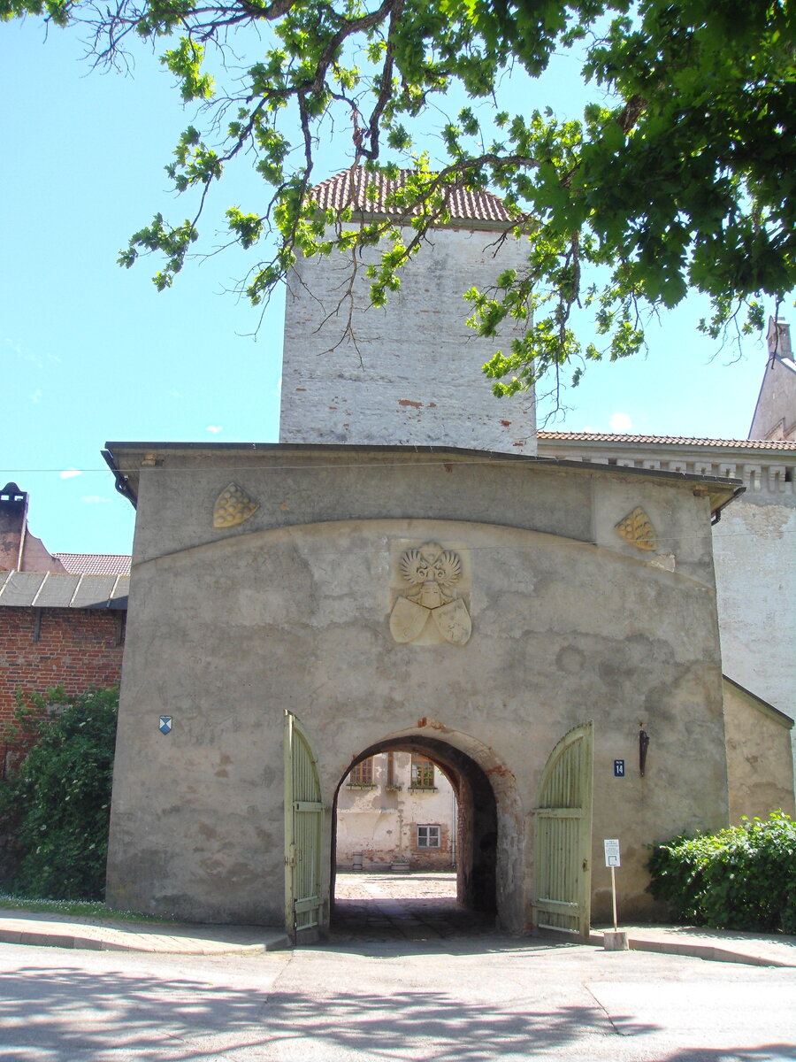 Фото автора