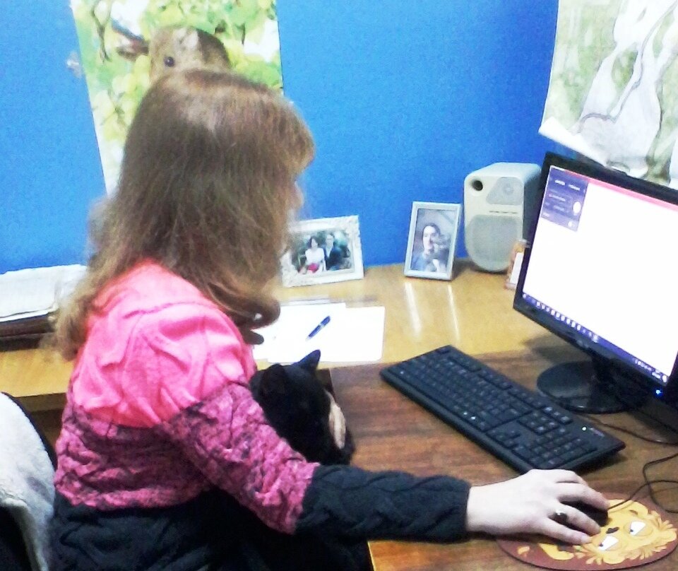 Котик абсолютно не мешает.