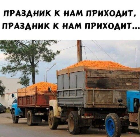 картинка из интернета