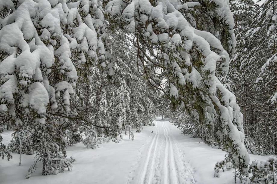 Фото — gazeta-don.ru