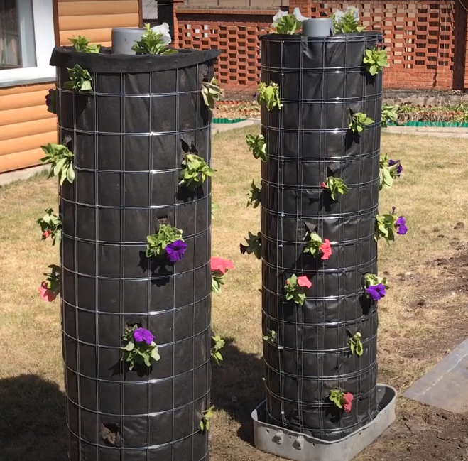 У меня клумбы еще не очень засажены, но представьте, как красиво они выглядят с большим количеством цветов