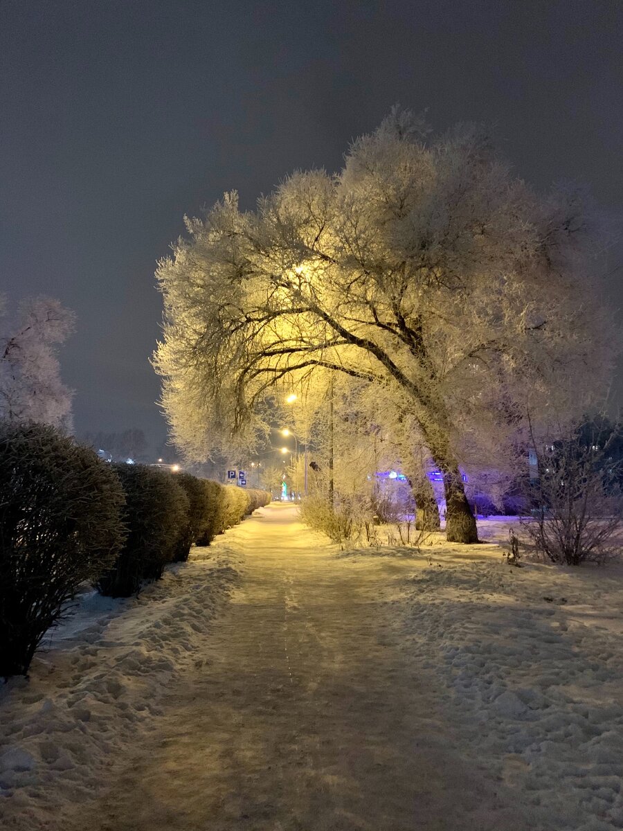 Фото автора, по дороге домой.