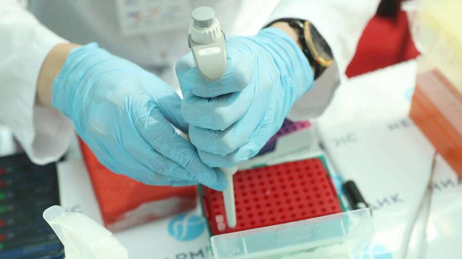 Фото: ИЗВЕСТИЯ/Андрей Эрштрем