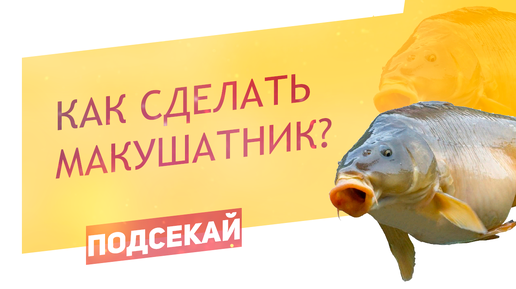 Монтаж снасти МАКУШАТНИК + ФЛЭТ Комбинированная снасть для ловли карпа. My fishing — Video