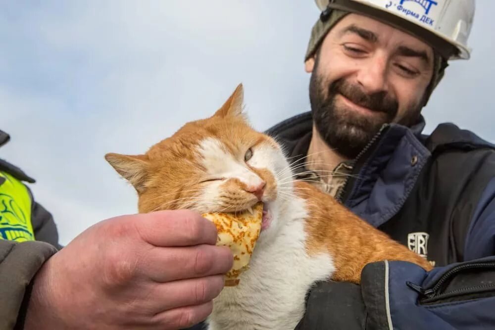 яндекскартинки