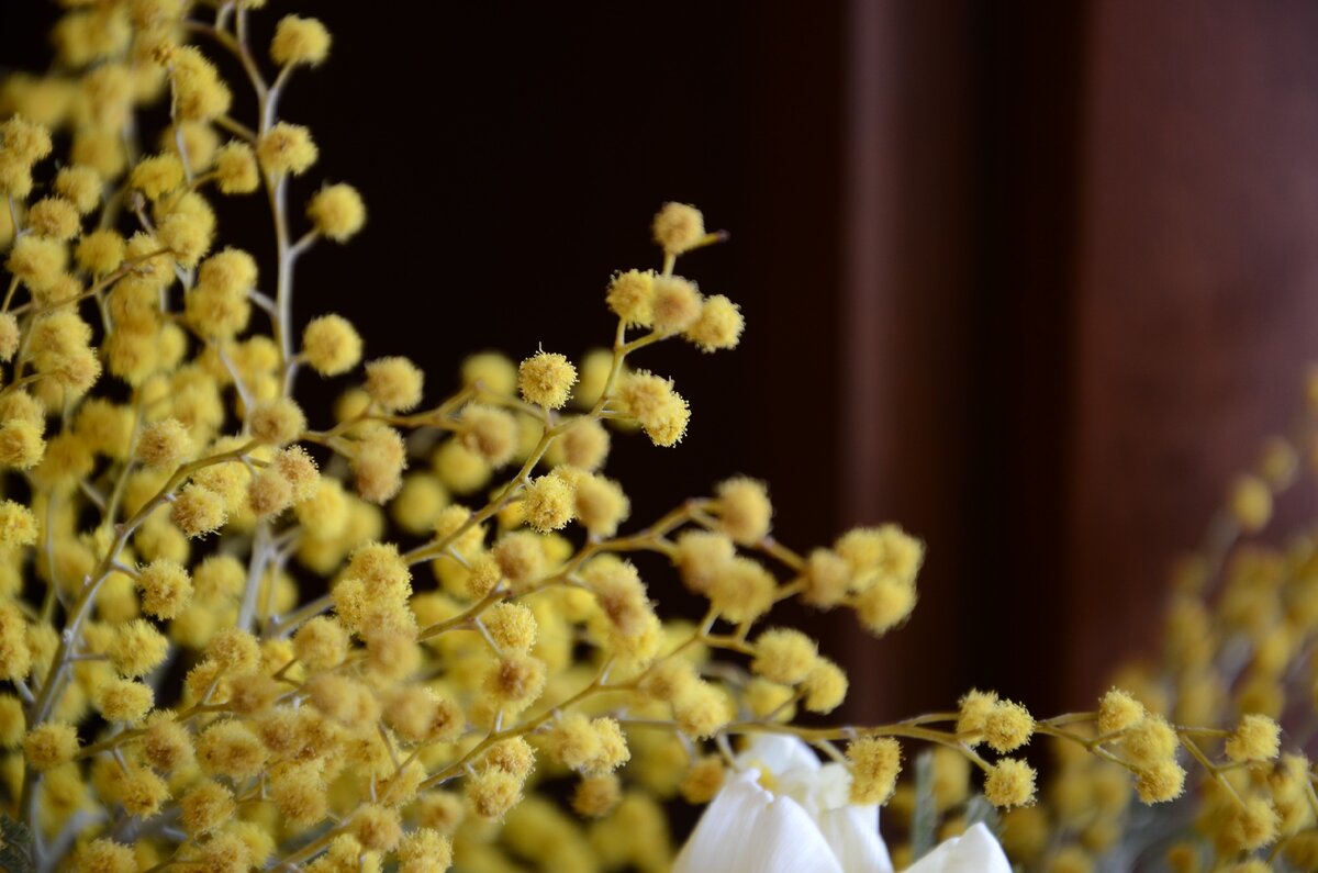 Фото из личного архива автора