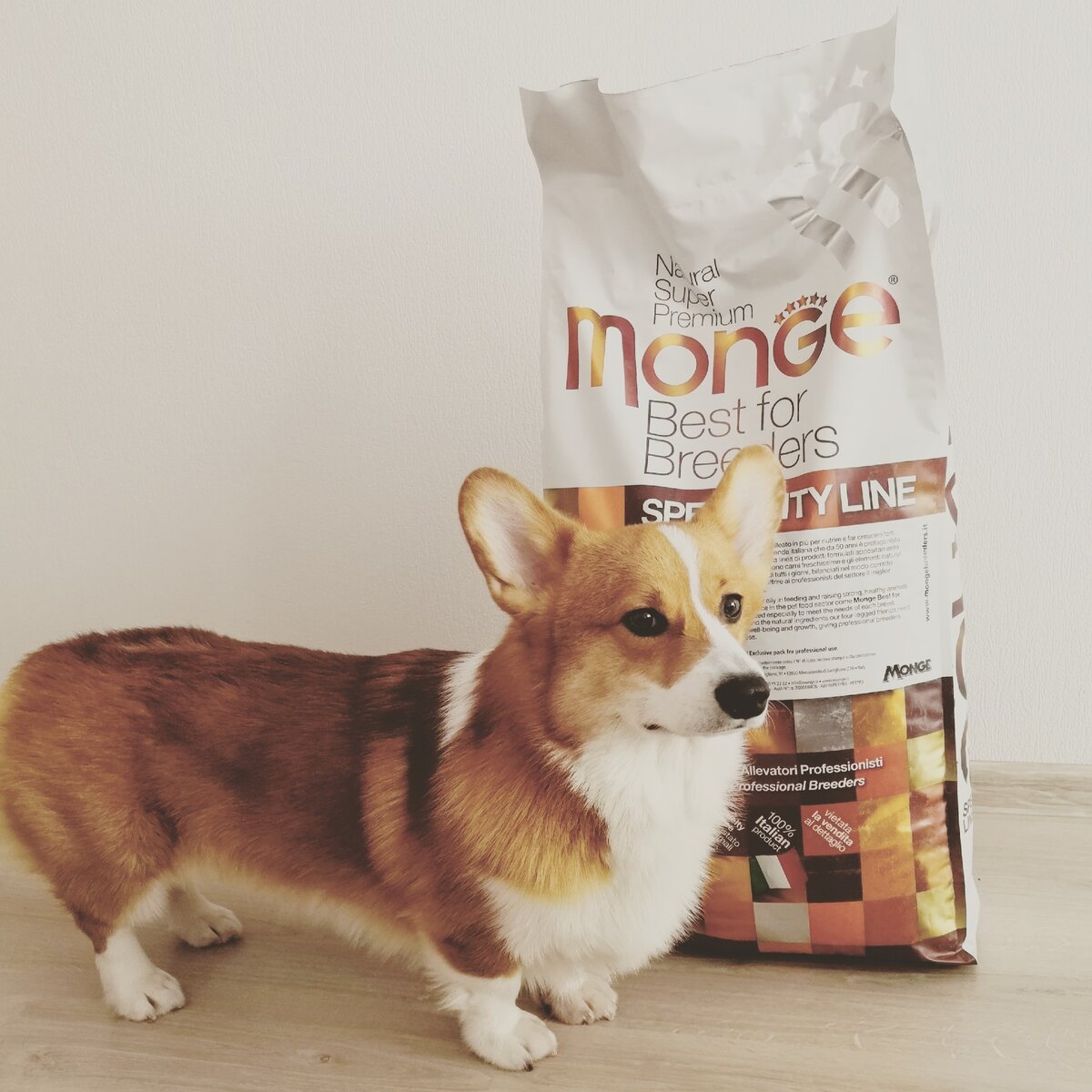 Соотношение Мерлина и корма