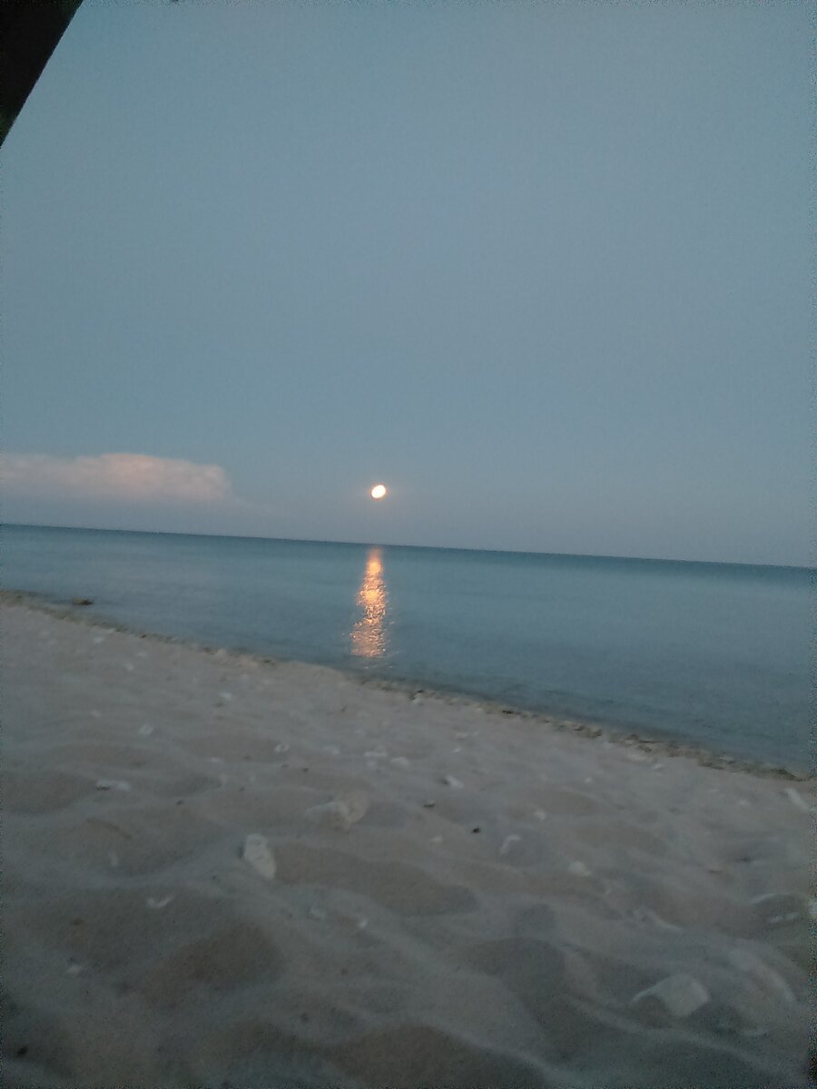 Вид из палатки в Марьино на диком пляже