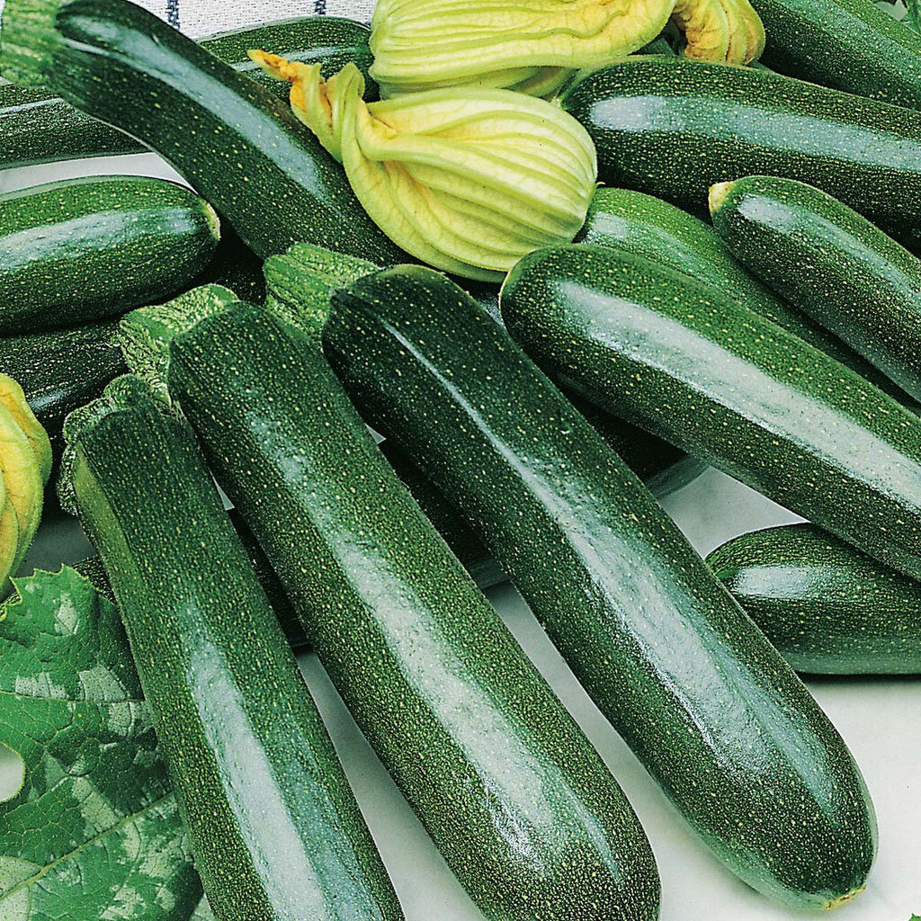 Источник изображения: gliorticelli.com