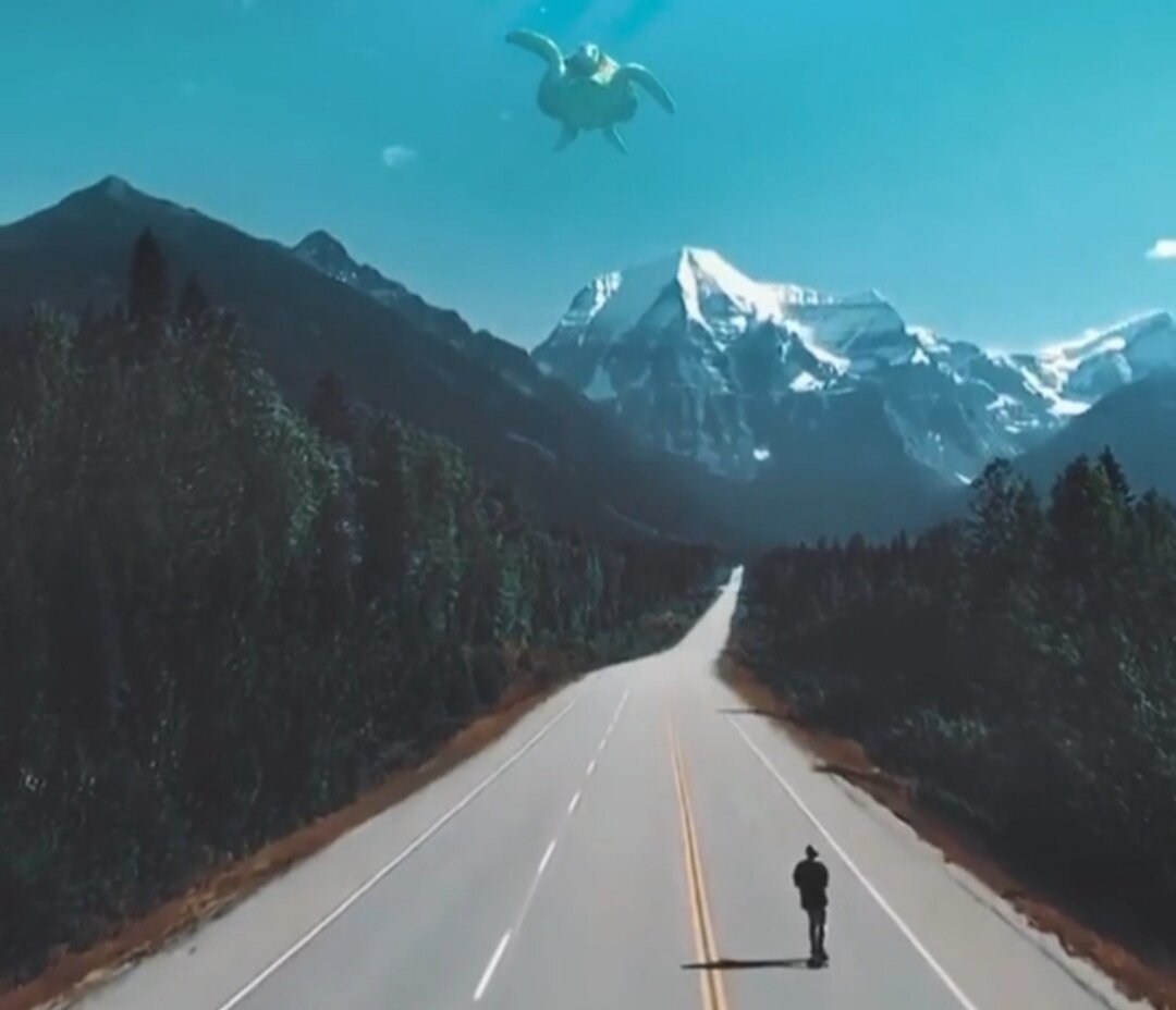 https://www.instagram.com/p/BwYOPFfgKns/?igshid=1mbvdtyu4q5zk