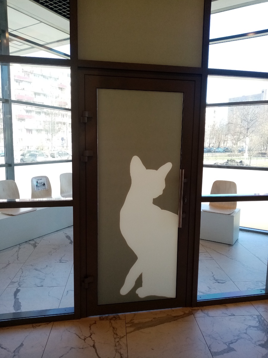 Зона ожидания врача для кошачьих