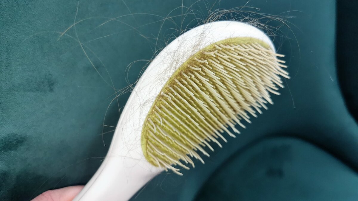 вот так выглядела моя расческа после каждого расчесывания