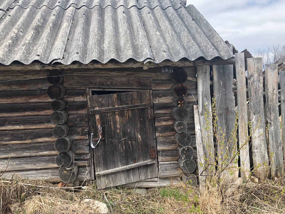 Заброшенная баня, в которой я мылась, будучи ребёнком | Тверская - вот она  какая | Дзен