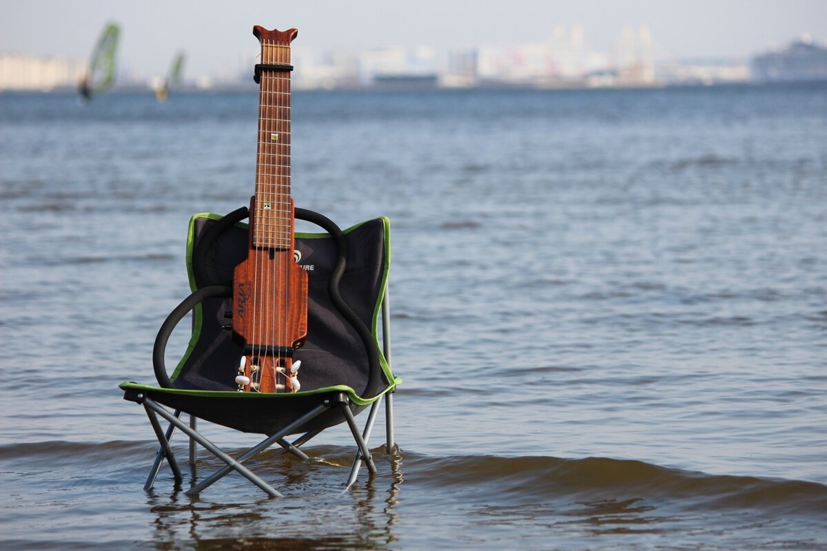 Да, это тоже гитара )))