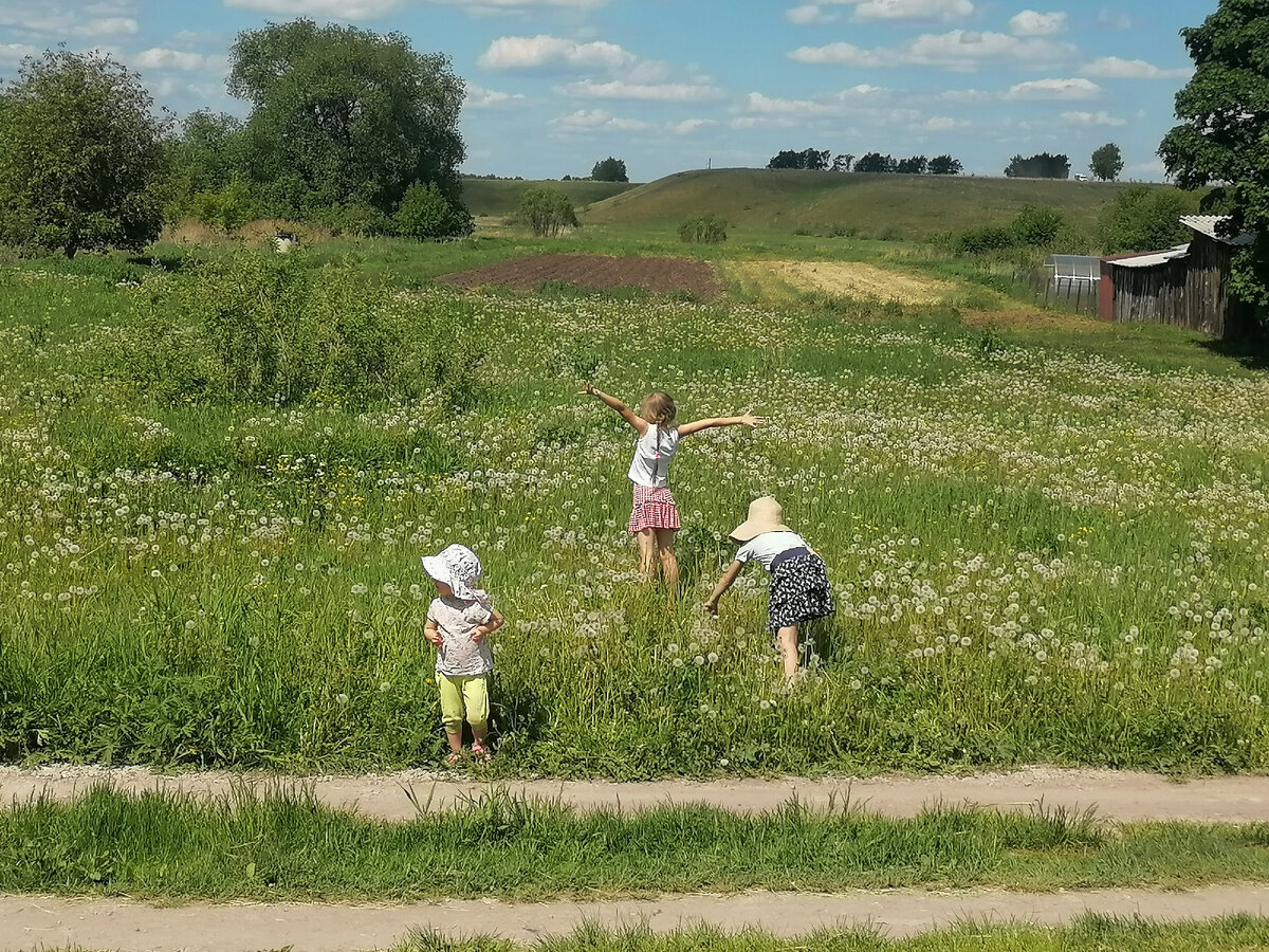 Наши вылазки на природу
