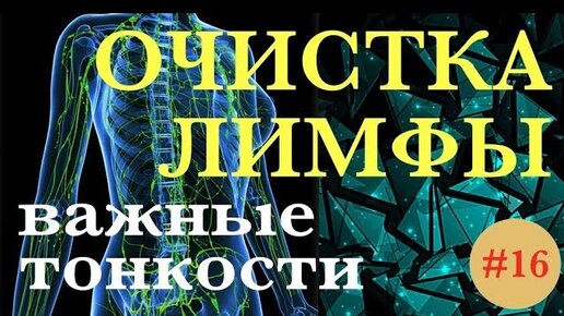 Лимфатическая система – одна из самых сложных и хитро устроенных систем человека