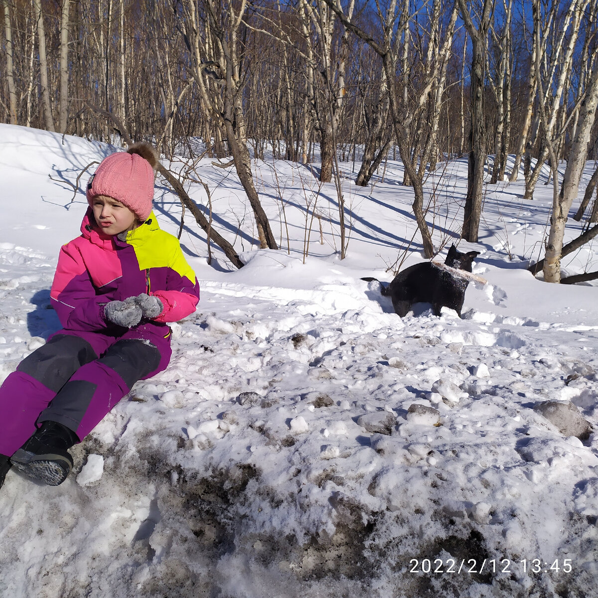 Фото из личного архива. Гуляем за городом с собакой.