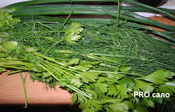 Лук, укроп, петрушка. Источник: яндекс картинки.