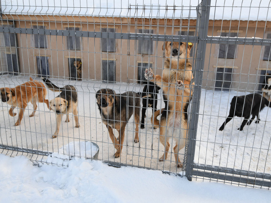 Фото: Город Казань KZN.RU