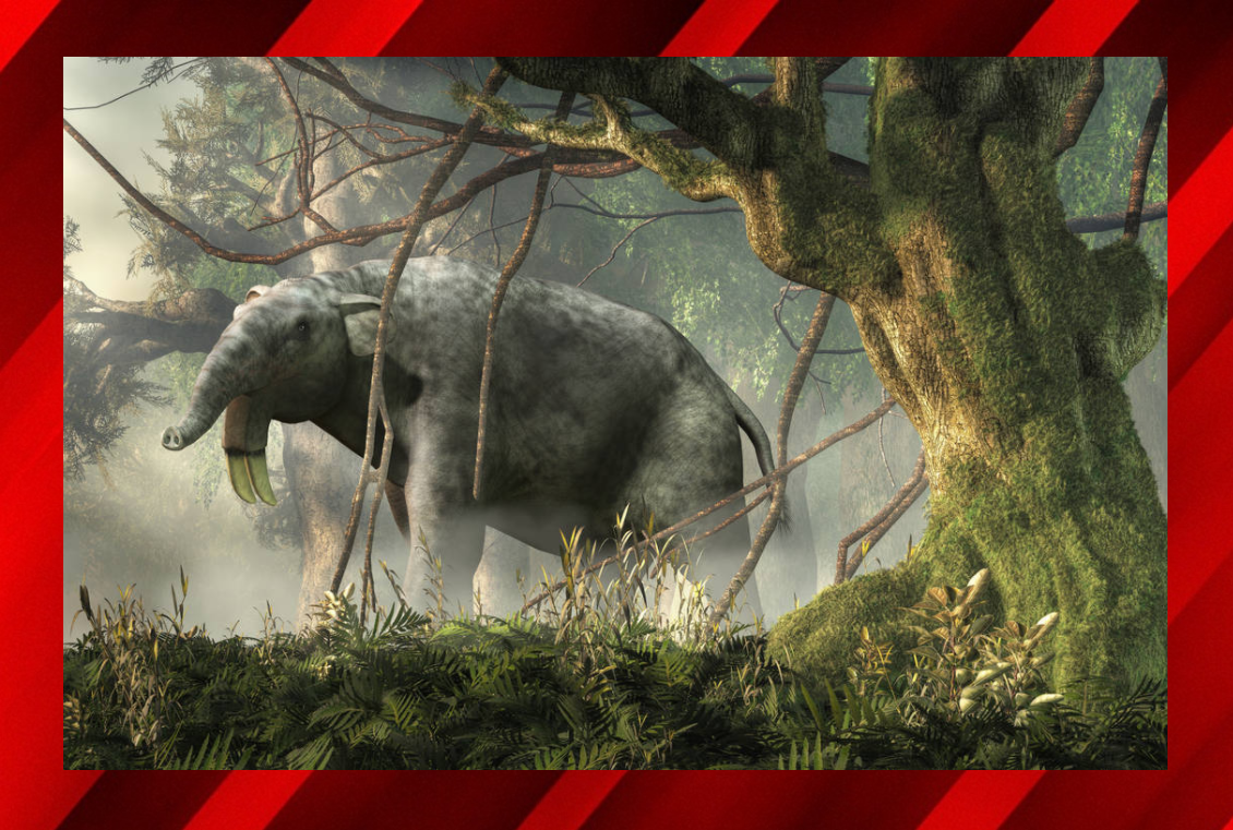 с просторов интернета