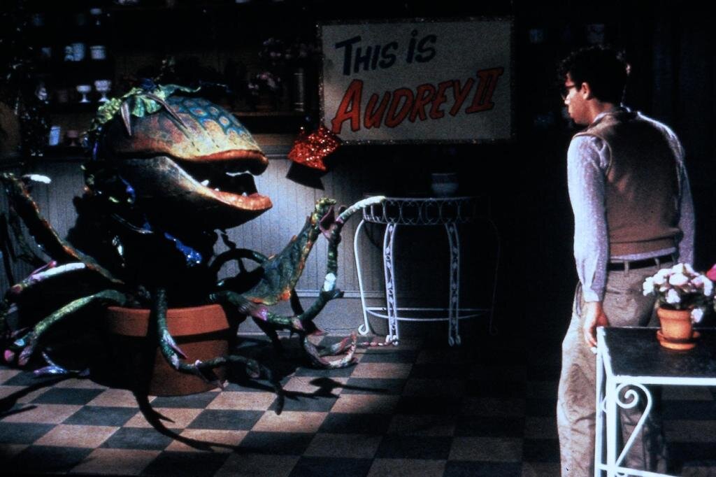 Цветок-людоед и Сеймур (кадр из фильма "Маленький магазинчик ужасов", 1986)