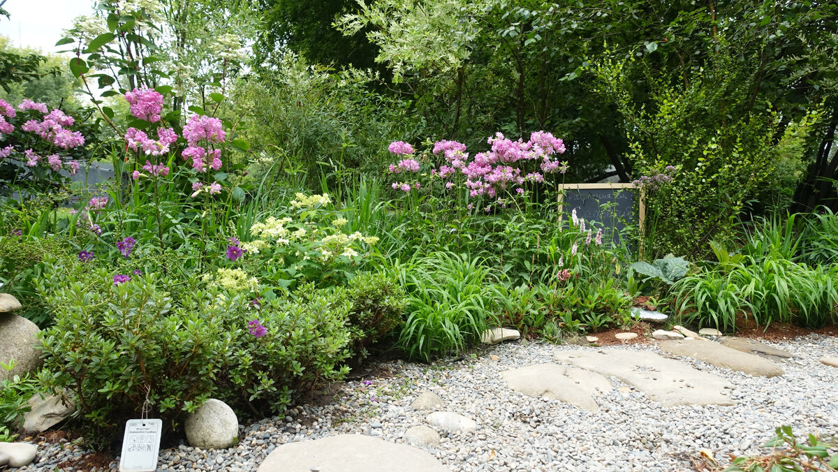 Сад Латза, автор: Евгения Воронцова. Фото автора