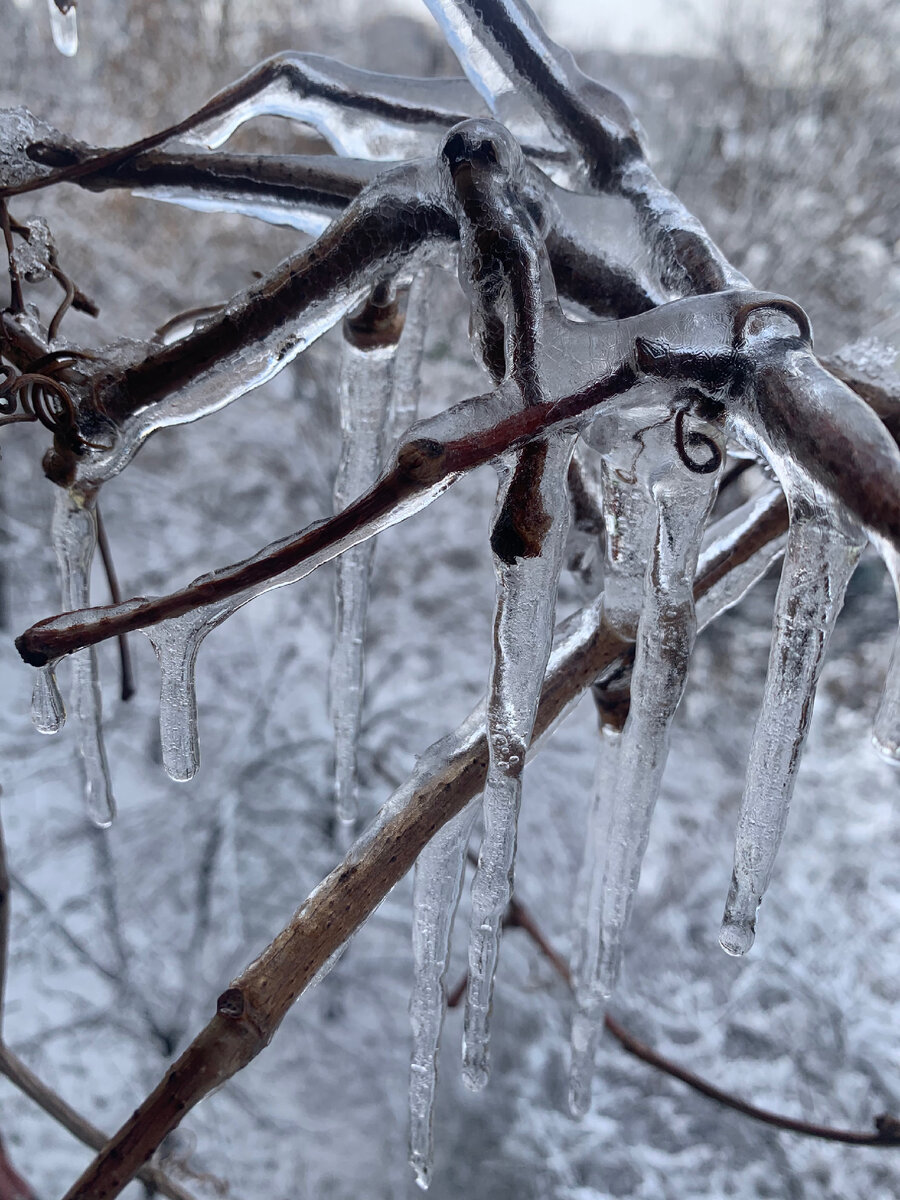 да, у нас снег и сосули)))