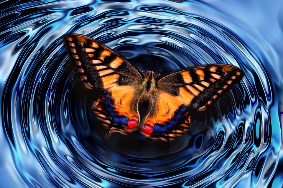 Эффект бабочки. Источник: depositphotos.com