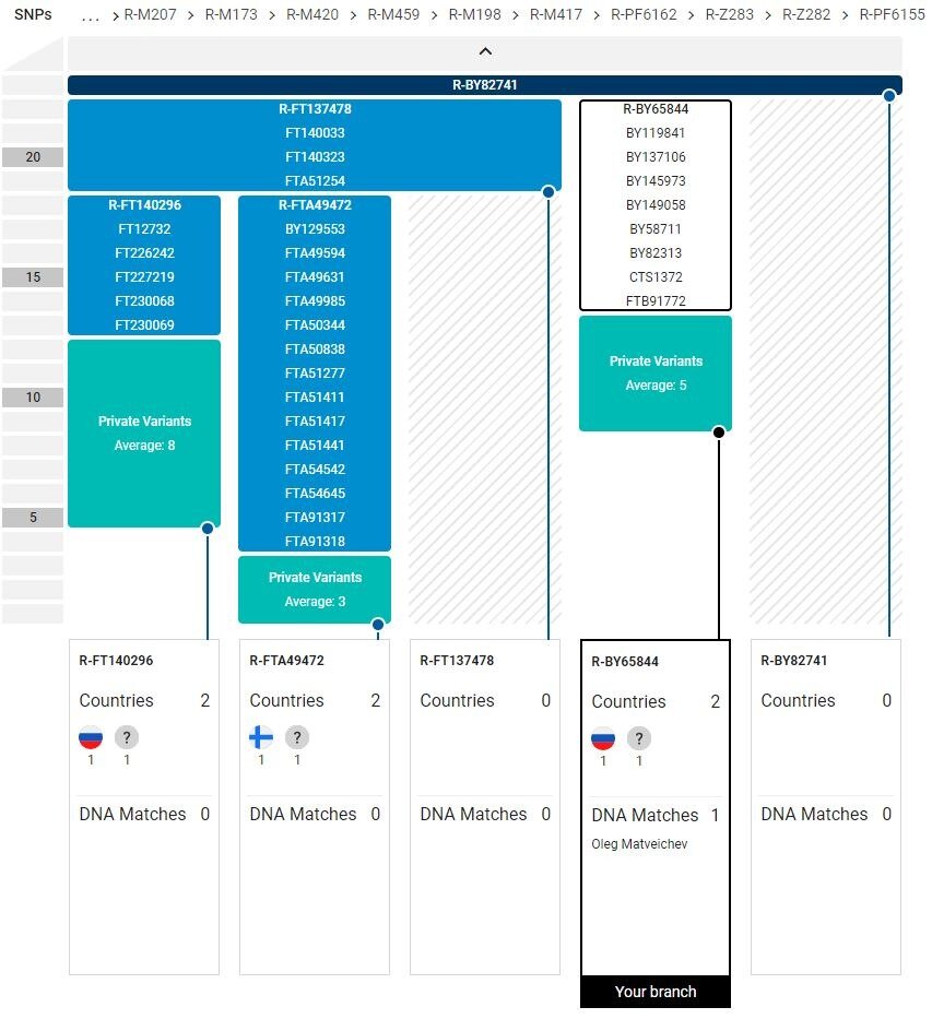 Филогенетическое древо субклада R-BY82741 