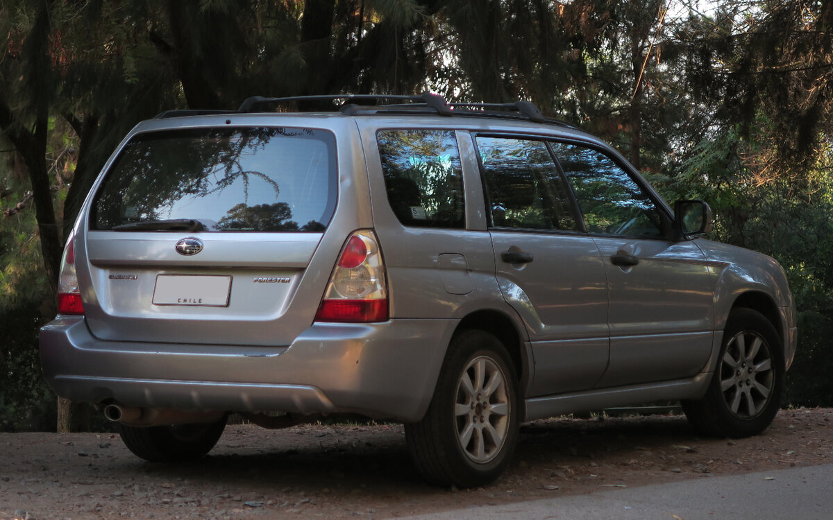 Вид машины сзади  Wikimedia commons, лицензия Creative Commons Attribution 2.0 Generic изменений нет