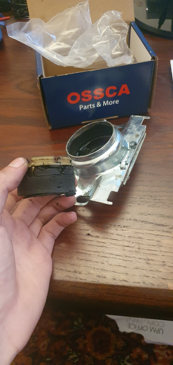 Эта же Ossca через 3 месяца