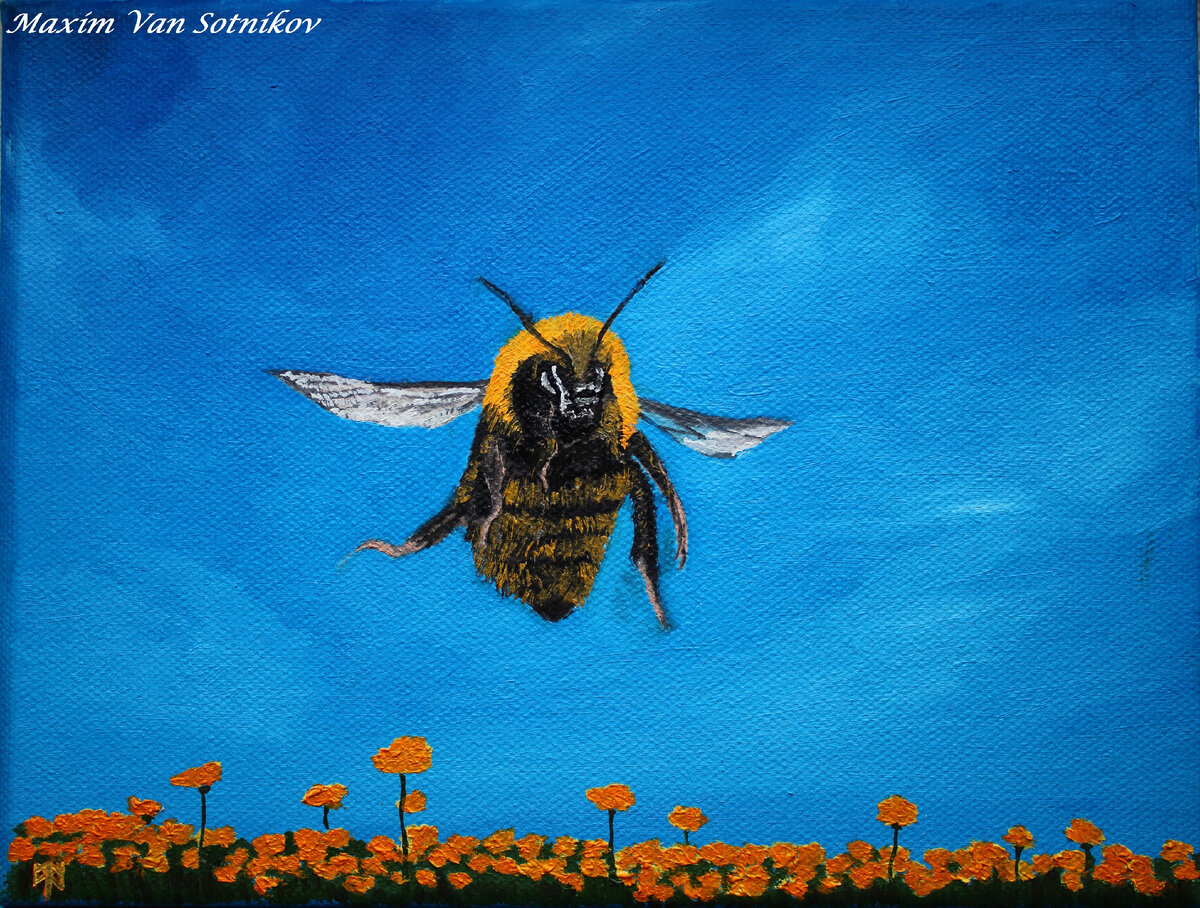 Пчела. Художник Maxvans (Максим Сотников)