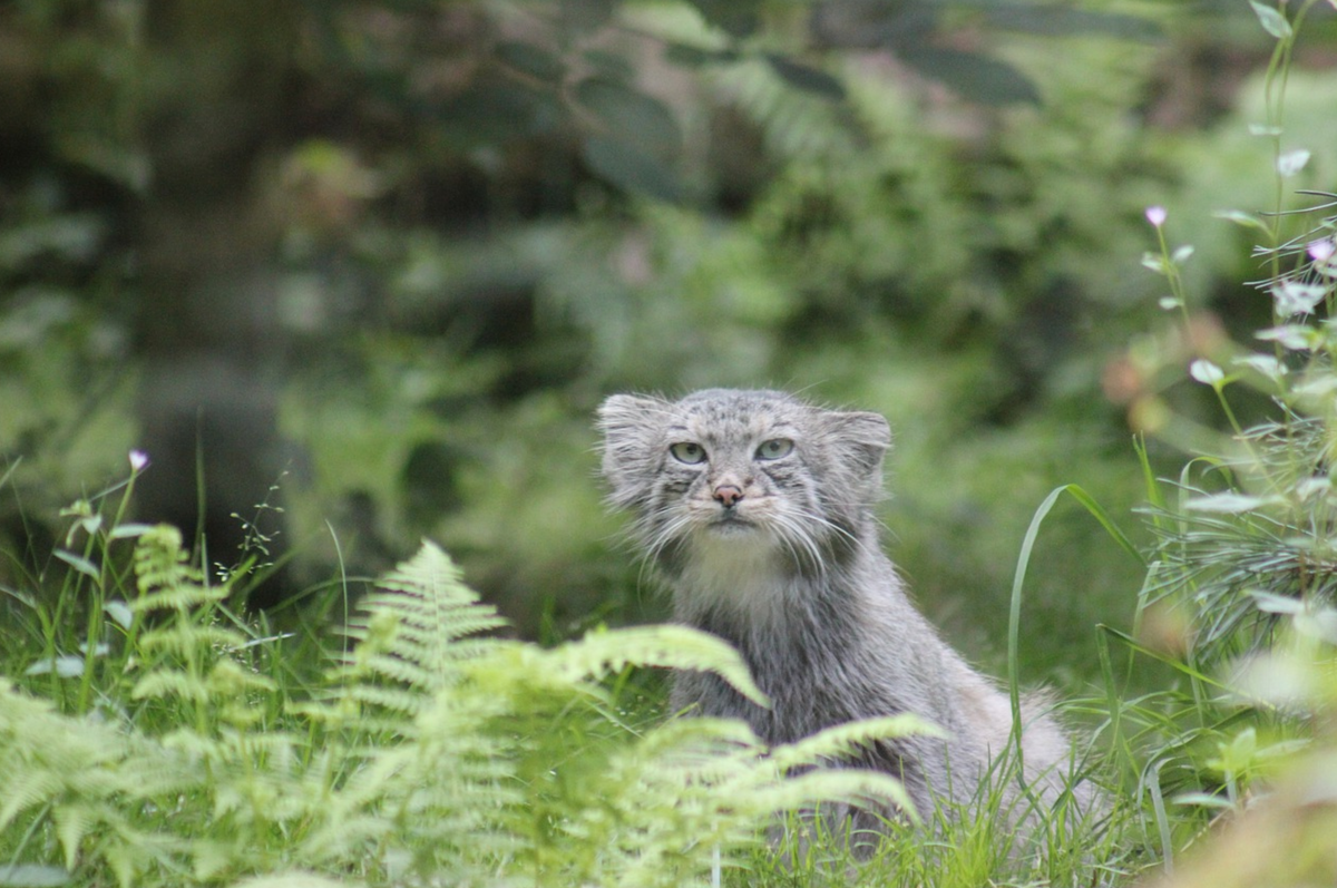 Фото pixabay.com